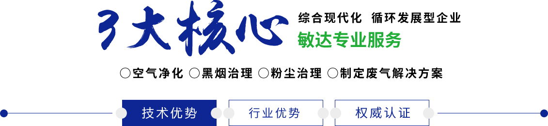 美国男人大鸡巴叼女人B敏达环保科技（嘉兴）有限公司